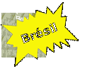 Br&eacute;sil